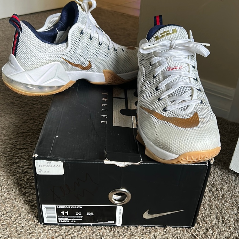 Size 11 Mens Lebron XII low , firm on price